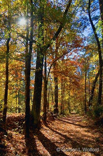 The Old Trace_25065.jpg - The Natchez Trace, a 440-mile-long path extending from Natchez, Mississippi to Nashville, Tennessee, linked the Cumberland, Tennessee and Mississippi rivers. It was a traditional Native American trail and was later also used by early European explorers as both a trade and transit route in the late 1700s and early 1800s. Today, the trail has been commemorated by the 444-mile-long Natchez Trace Parkway, which follows the approximate path of the trace.Photographed in Mississippi along a section of the original Trace.